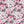 Farewell Floral - PLDM2310
