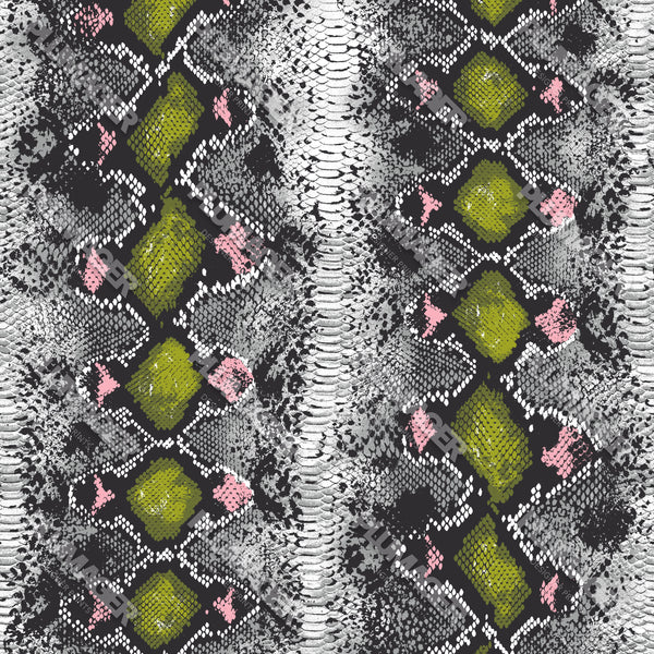 Sarika Snake - PLDM1458
