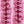 Sarika Snake - PLDM1458