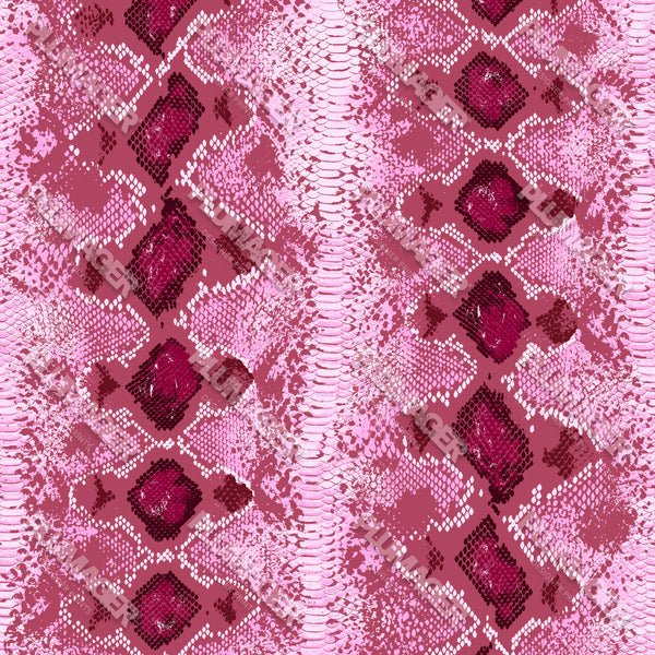 Sarika Snake - PLDM1458