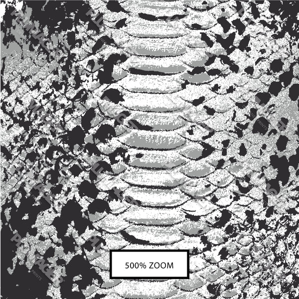 Sarika Snake - PLDM1458