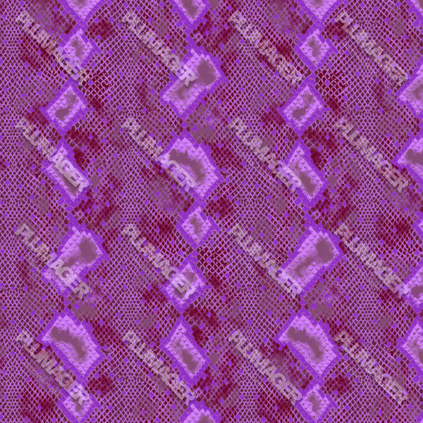 Schuyler Snake - PLDM1459