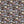 Hazel Floral - PLDM2311