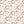 Hazel Floral - PLDM2311