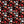 Hazel Floral - PLDM2311
