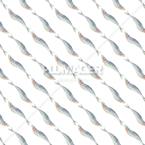 Sardine Stripe - PLDM2456