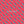 Sardine Stripe - PLDM2456