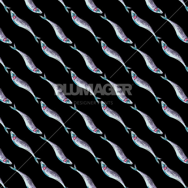 Sardine Stripe - PLDM2456