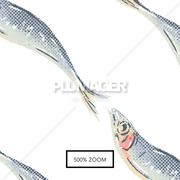 Sardine Stripe - PLDM2456