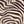 Zelda Zebra - PLDM1463