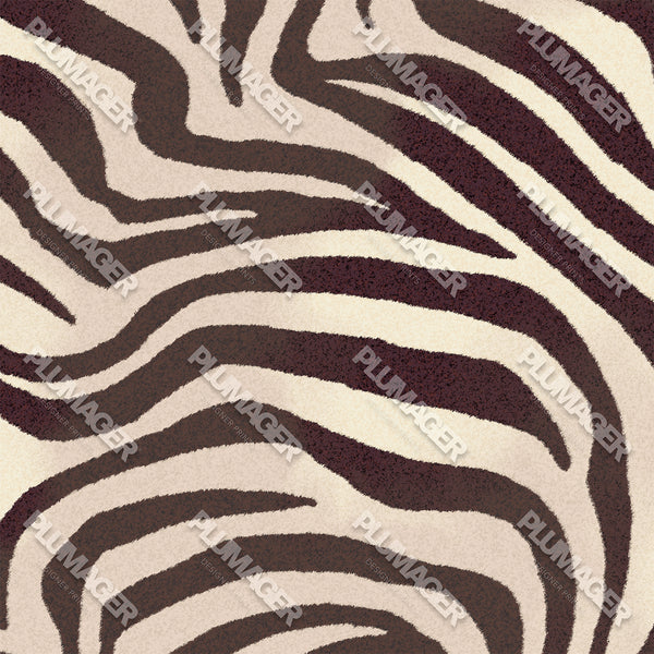 Zelda Zebra - PLDM1463
