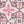 Nantucket Lattice - PLDM4164