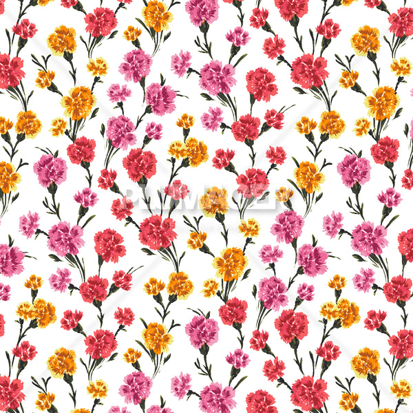 Corrie Carnation - PLFZ7513