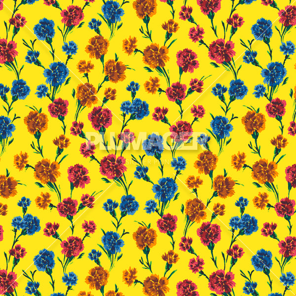 Corrie Carnation - PLFZ7513