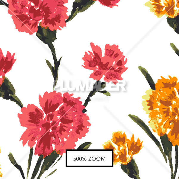 Corrie Carnation - PLFZ7513