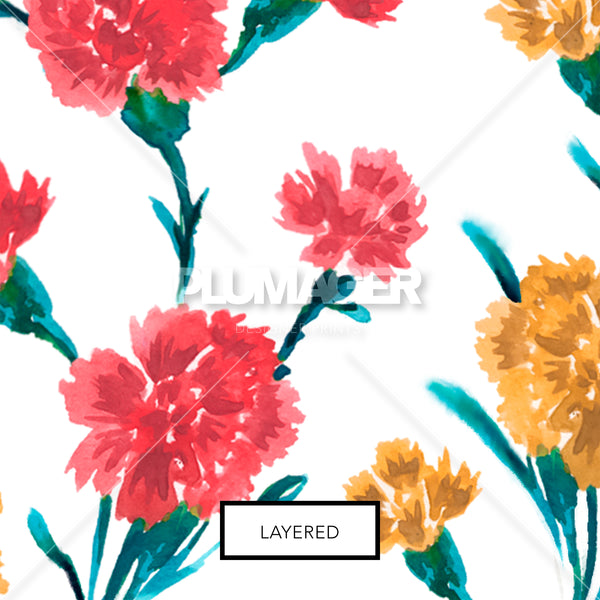 Corrie Carnation - PLFZ7513