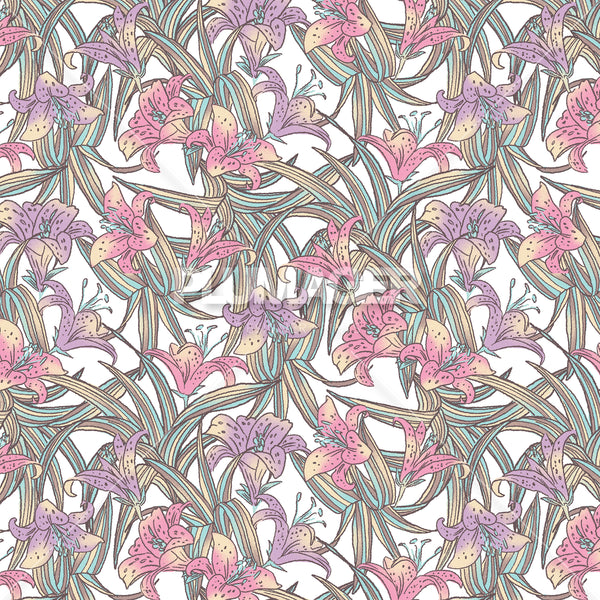 Island Lily - PLFZ7520