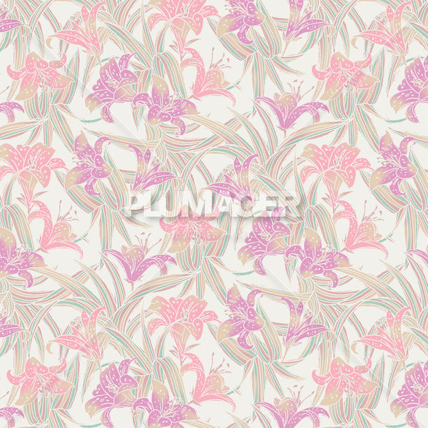 Island Lily - PLFZ7520