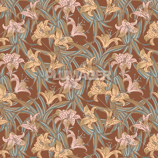 Island Lily - PLFZ7520
