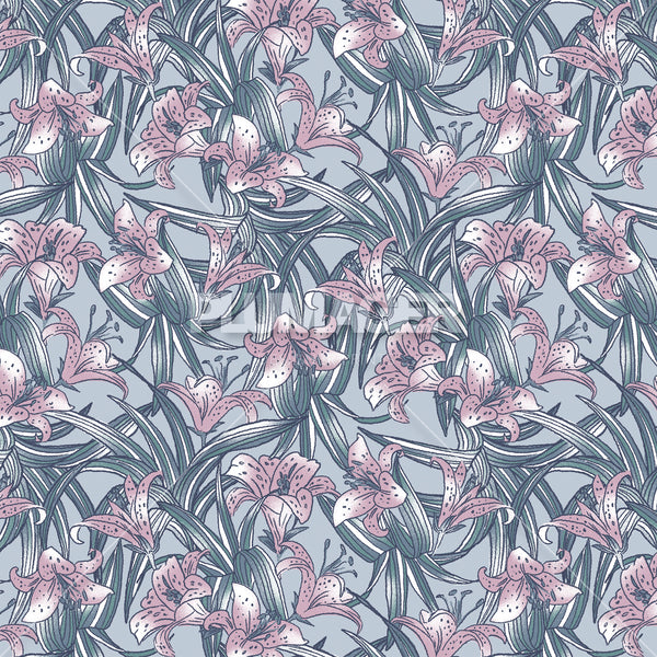 Island Lily - PLFZ7520