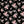 Calvina Floral - PLFZ7549