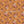 Calvina Floral - PLFZ7549