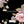 Calvina Floral - PLFZ7549