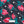Bettie Buds - PLFZ7553