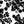 Windermere Floral - PLFZ7554