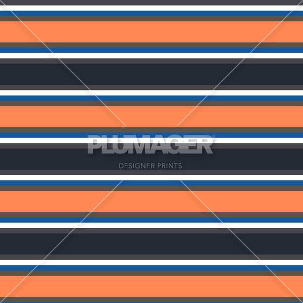Crew Stripe - PLFZ7537