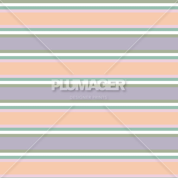 Crew Stripe - PLFZ7537