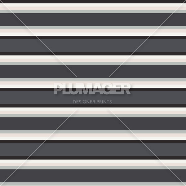 Crew Stripe - PLFZ7537