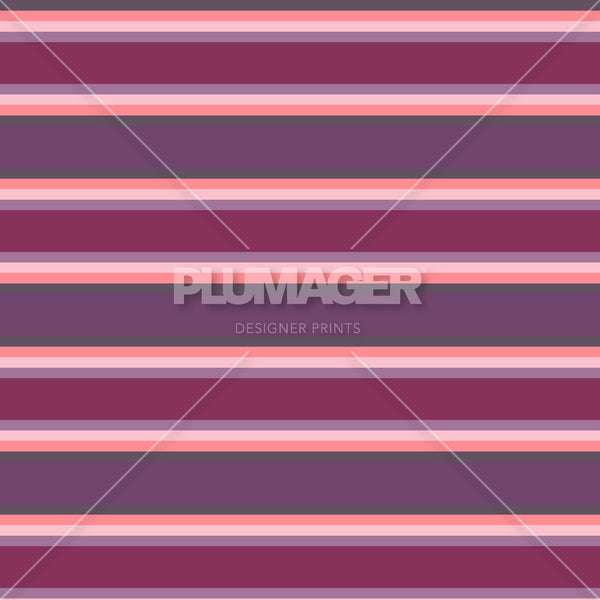 Crew Stripe - PLFZ7537