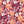 Serenity Floral - PLNN4182
