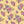 Lilianna Floral - PLNN4183