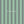 Savy Stripe - PLNN4184