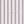 Savy Stripe - PLNN4184