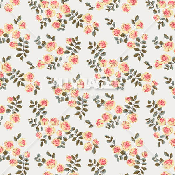 Little Rosettes - PLNN4186