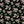 Little Rosettes - PLNN4186