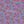 Little Rosettes - PLNN4186