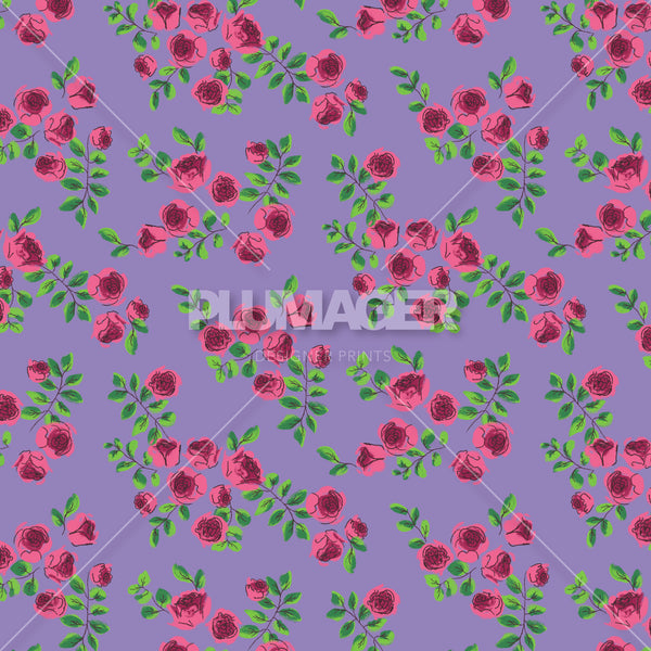 Little Rosettes - PLNN4186