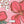 Magnolia Melody - PLNN4188