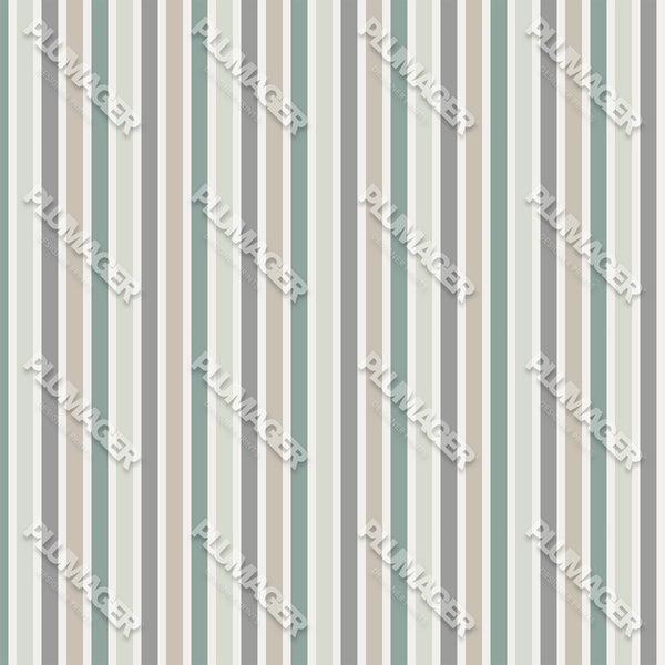 Seattle Stripe - PLNN4195