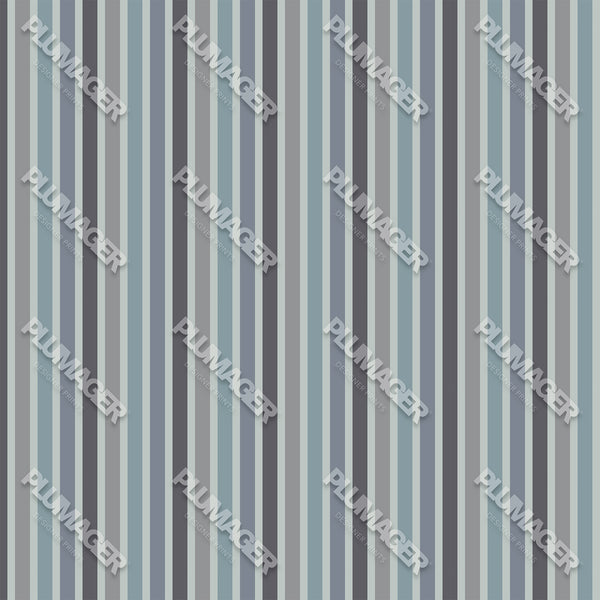 Seattle Stripe - PLNN4195