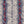 Sienna Snake - PLOL0011