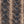 Sadie Snake - PLOL0012