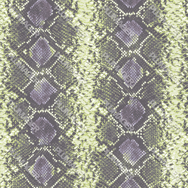 Sadie Snake - PLOL0012