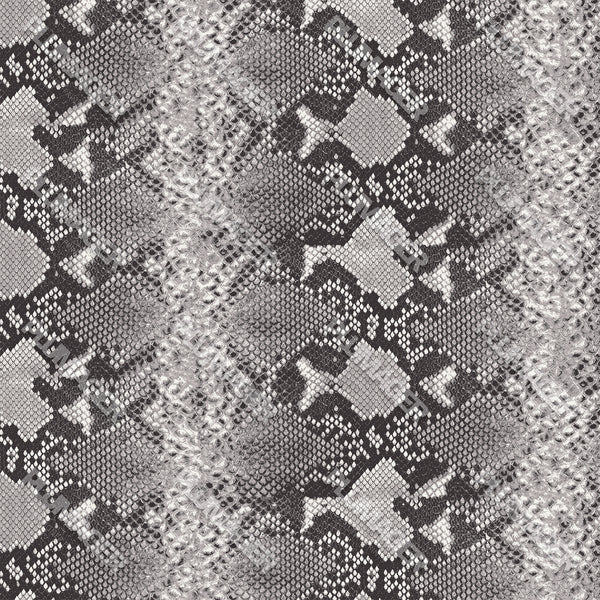Shireen Snake - PLOL0013