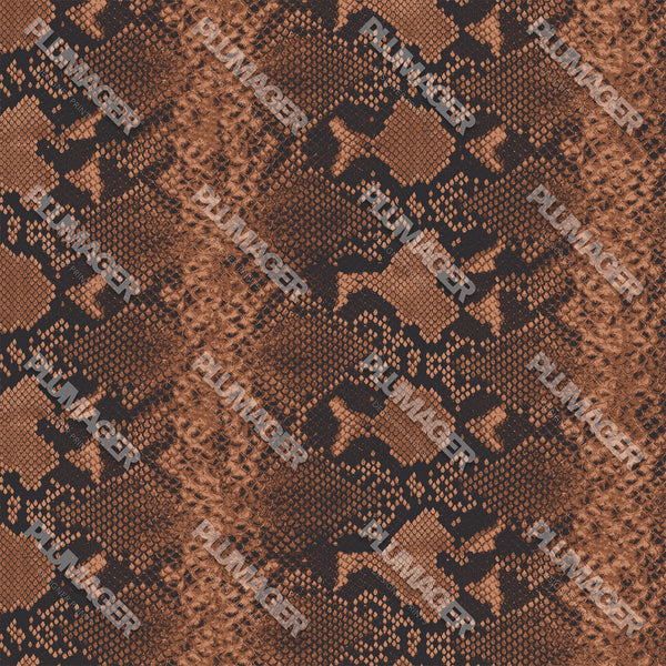 Shireen Snake - PLOL0013