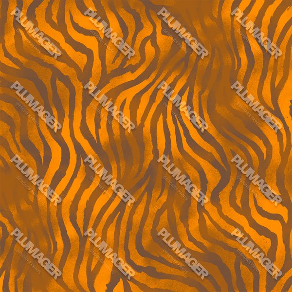 Zebra Zing - PLOL0014